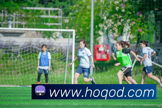 世界杯官网登录app服务体系